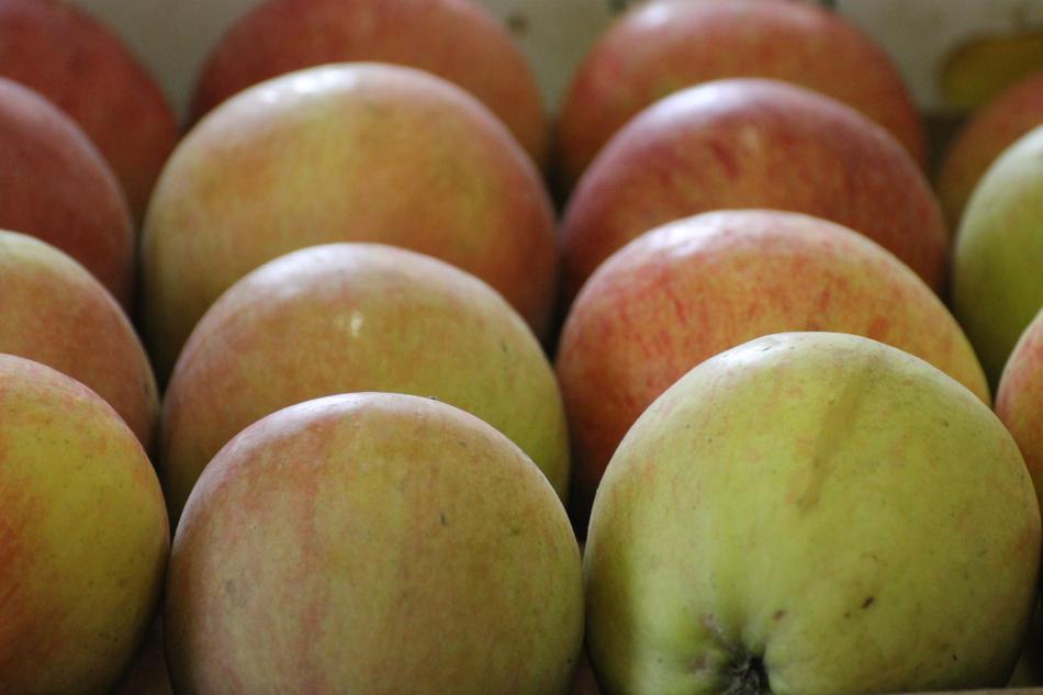 Apples Fruits