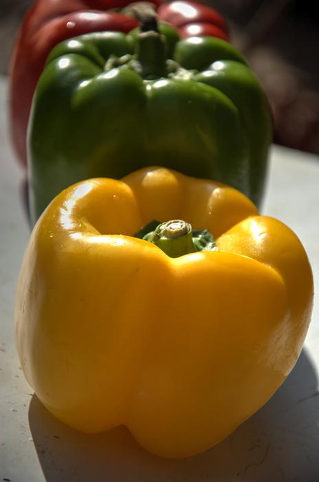 fresh bell Peppers, Yellow, Green and red