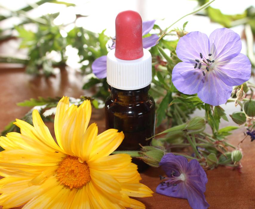Medicine Flower Essences