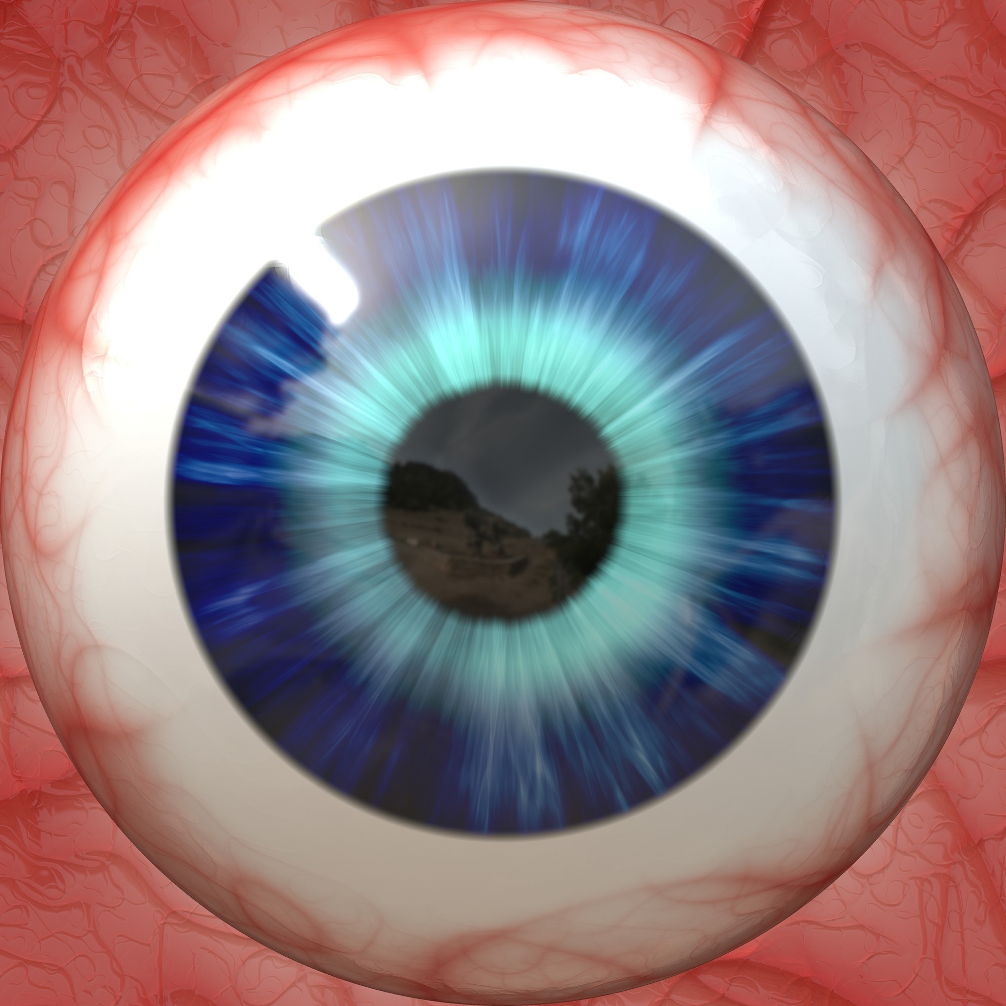 Anatomy eyeball sight drawing free image download