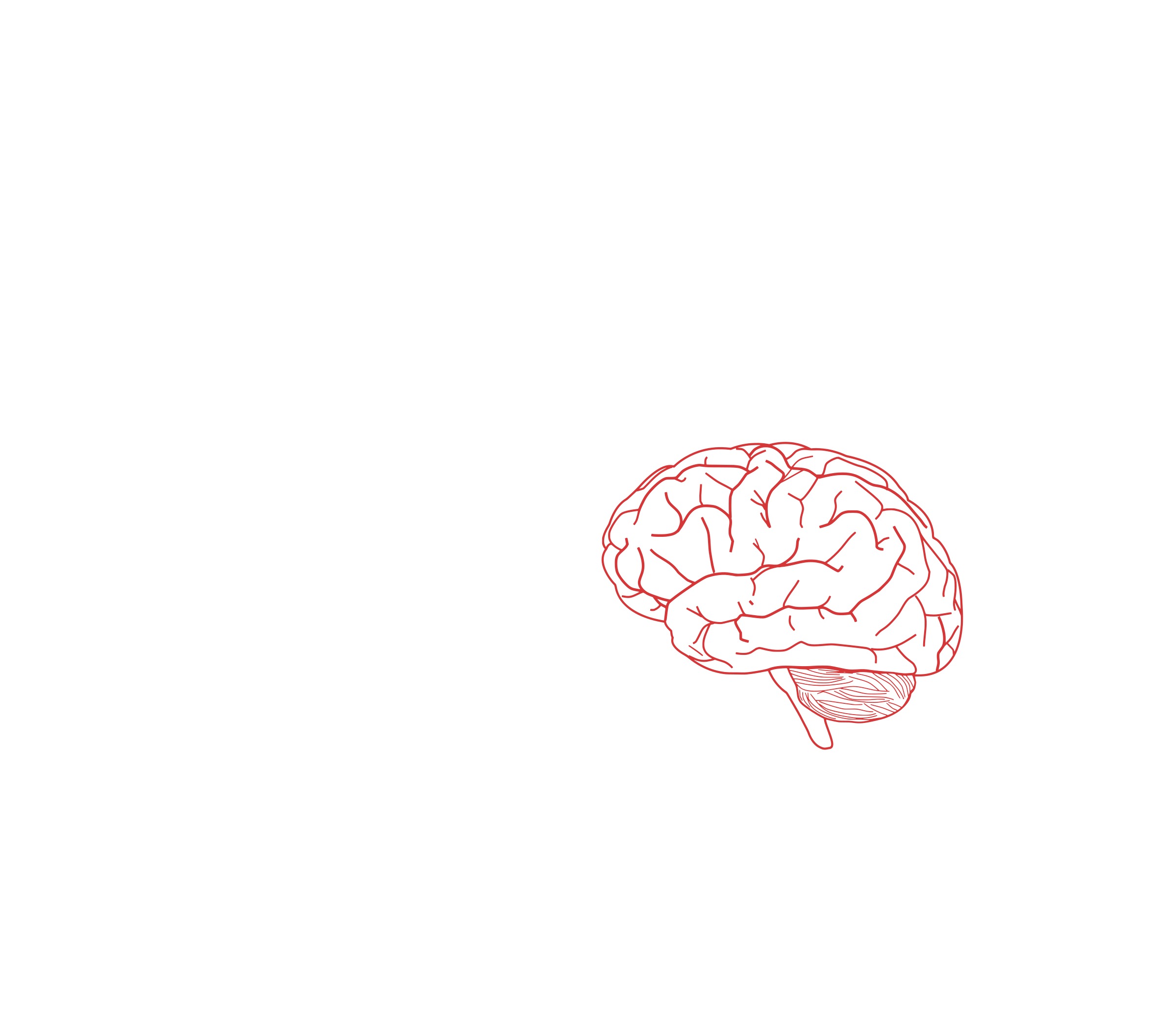 Мозг без головы крокус. Мозг нарисованный. Мозг рисунок. Минималистичный рисунок мозга.