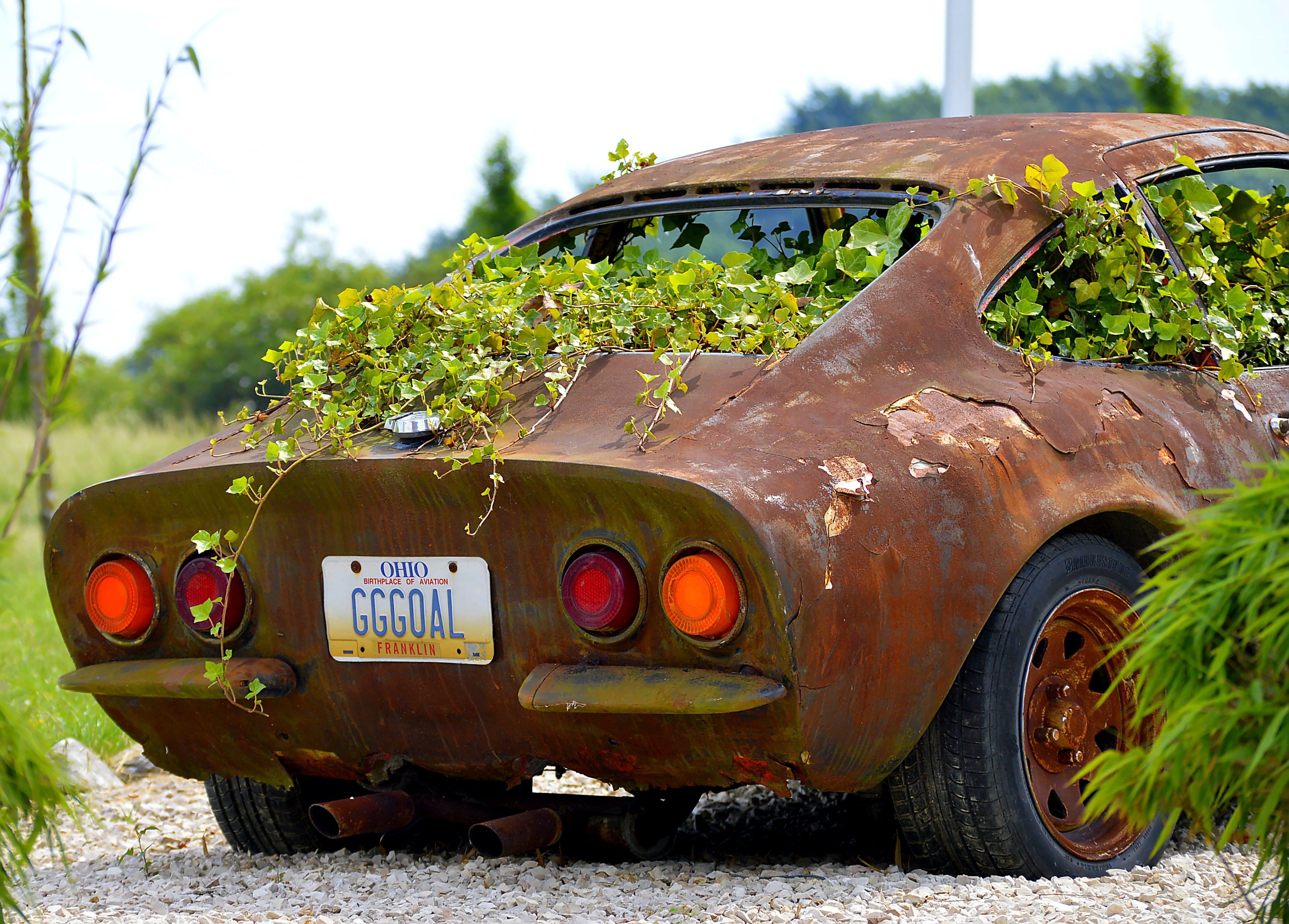 Rust on the car фото 25