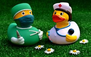 toy toy ducks doctors