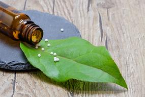 Globuli Homeopathy leaf
