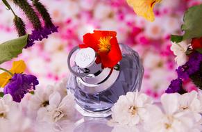 red bud on perfume bottle