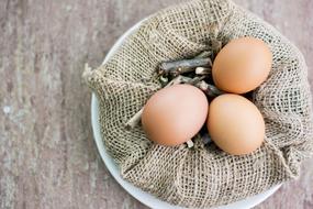 three Eggs Hen Health