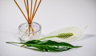 scent sticks for room