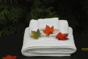 Spa Towels and leaf