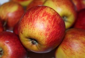 macro photo of red-yellow apples