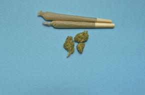 Marijuana Medical