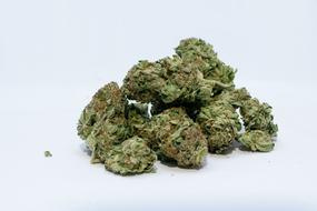 green Marijuana pot