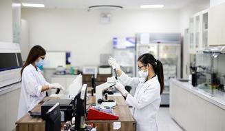 workers in a medical laboratory