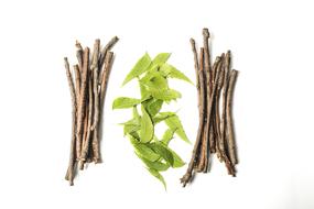 Ayurveda and Herbs Beauty