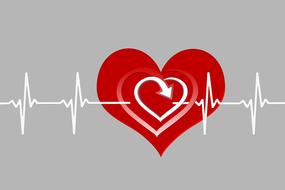 healthy heart and pulse, drawing