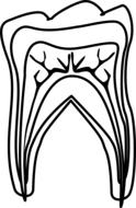 graphic molar diagram drawing