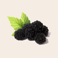 Blackberry Fruit black