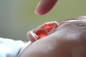 Ears Lobe