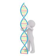 painted white man and dna model