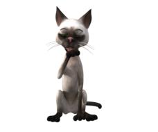 3d funny cat