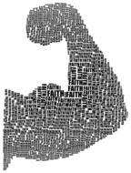 biceps faith muscle drawing