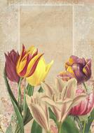 vintage card with painted tulips and lilies