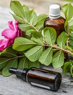 aroma oil and a branch of rosehip