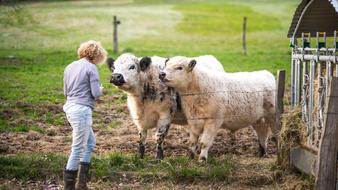 Mammal Farm and girl