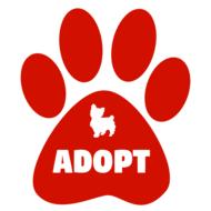 adopt dogs cats pet red drawing