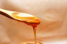 golden honey on a wooden spoon