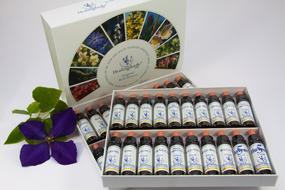 healing flower essences