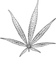 leaf of cannabis, black and white drawing