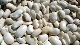 Beans Health Harvest