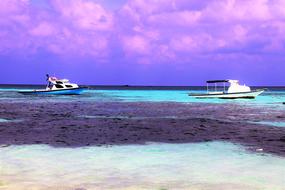 Maldives Fabulous Colors