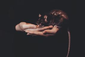 mouse in human hands in the dark