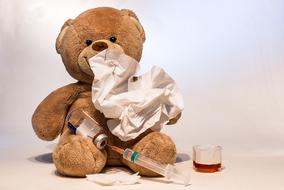 taddy bear flu vaccination