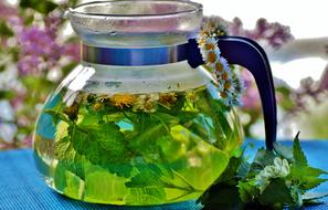 Herbal Tea Infusion