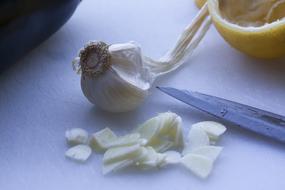 Eggplant and Lemon and Garlic