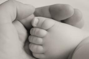 Foot of newborn Baby in adult Hand