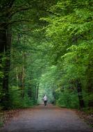 Nordic Walking Sport