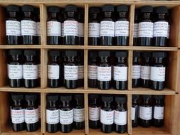 Essential Oils market