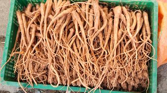 Bellflower Organic