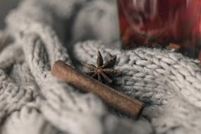cinnamon on knitted plaid