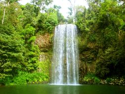 Waterfall River forest