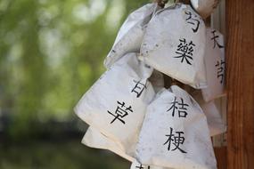 About Chinese Medicine