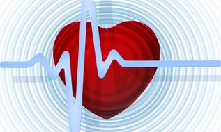 heart curve healthy pulse drawing