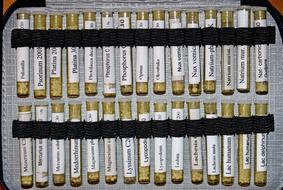 Homeopathy Globuli