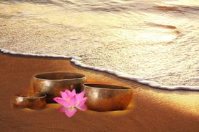 singing bowl lotus sea