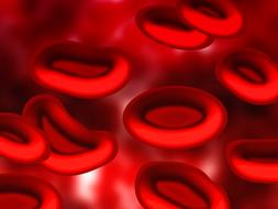 blood plasma red drawing