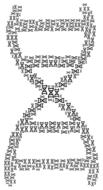 dna cell