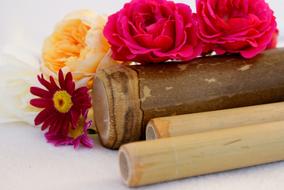 Wellness Spa Health flowers